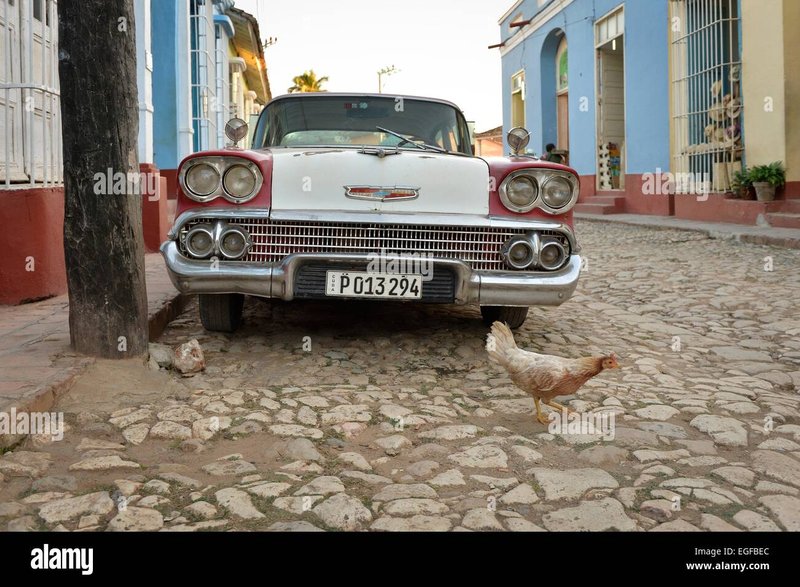 Chicken road online, chicken road